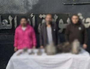 مباحث بولاق أبو العلا تُحبط محاولة تنقيب عن الآثار داخل منزل وتضبط 3 متهمين