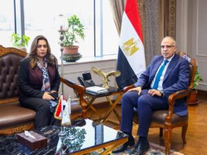 الري توافق على خط غاز طبيعي وعدد من المشروعات الساحلية