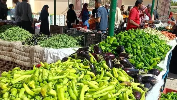 أسعار الخضروات والفاكهة اليوم بالأسواق