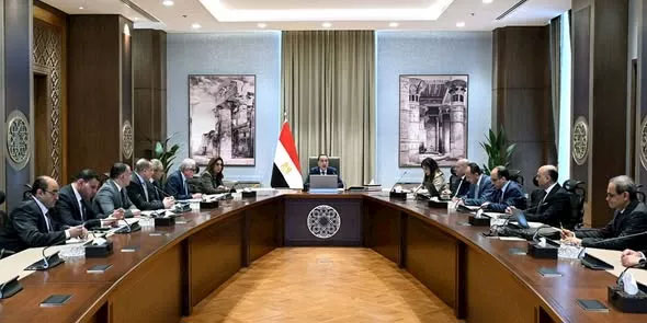 الوزراء: حزمة إجراءات اجتماعية واقتصادية للحفاظ على اقتصاد مصر ومصالح مواطنيها