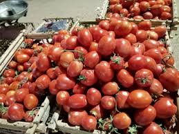 أسعار الخضروات والفاكهة اليوم الثلاثاء