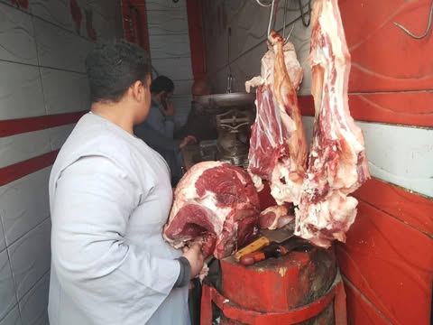 تموين المنيا: تحرير 206 مخالفات تموينية وضبط 200 كجم فراخ فاسدة