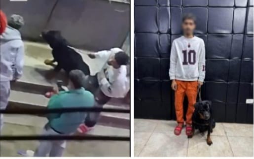 بدافع اللهو”.. كشف ملابسات فيديو ترهيب المواطنين بـ “كلب” في مدينة نصر