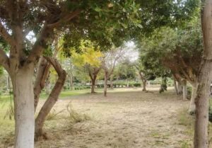 أسيوط تجهز الحديقة الدولية ببني غالب وفتحها مجانًا للمواطنين خلال عيد الفطر