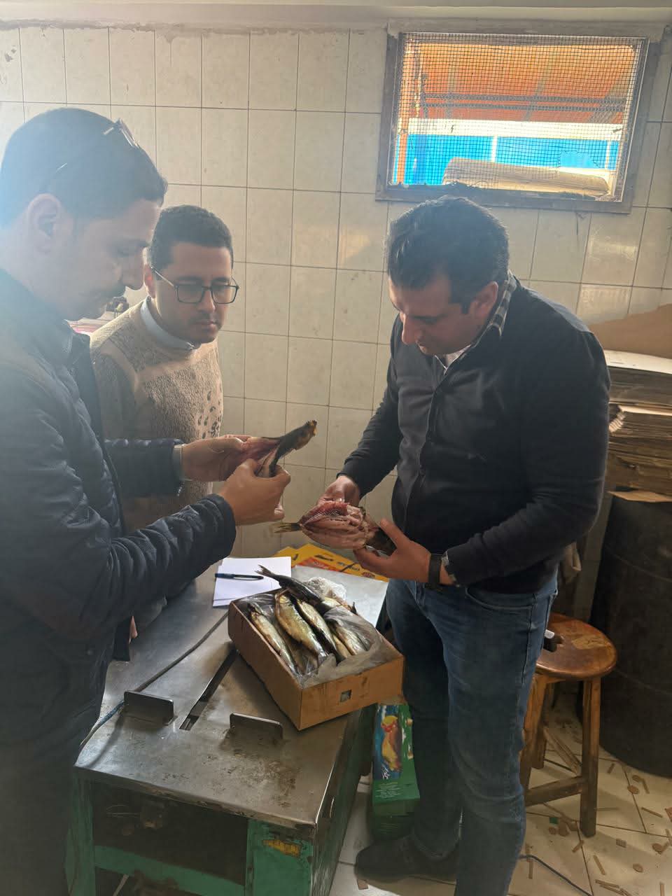 ضبط 3 أطنان رنجة غير صالحة للاستخدام بحملة في الغربية