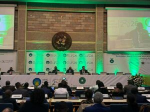 عبدالغار يشارك في اجتماع إفريقي حول إصلاح النظام الصحي العالمي