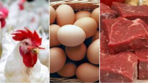 تراجع أسعار الدواجن والبيض واستقرار اللحوم اليوم بالأسواق