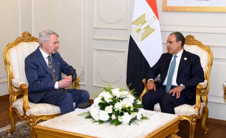 وزير الخارجية المصري يشدد على دعم وحدة السودان وضرورة التهدئة