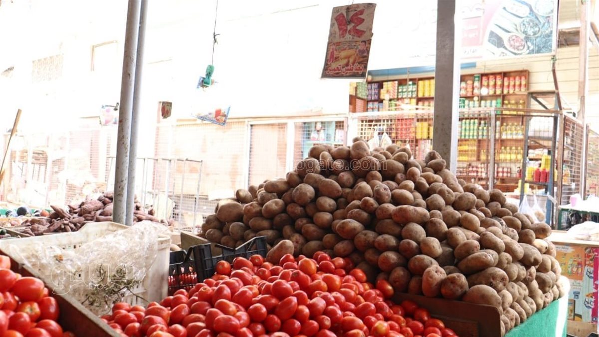 انخفاض طفيف في أسعار الخضروات والفاكهة بالأسواق اليوم