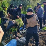 حزب الله ينفي ارتباطه بخلية القنيطرة وسط تبادل اتهامات مع دمشق