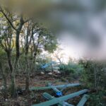 مسيّرات وصواريخ حزب الله تشعل الجبهة الشمالية للاحتلال الإسرائيلي