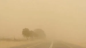 الأرصاد تُحذر من استمرار الرمال المثارة وتدهور الرؤية في معظم أنحاء البلاد