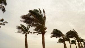 ما هو “الثلث المشاغب” وكيف يؤثر على الطقس والزراعة في مصر؟