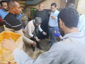 قبل شم النسيم.. ضبط 700 كيلو فسيخ وأسماك مملحة فاسدة بأبوتيج في أسيوط