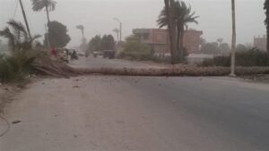 أبناء عم.. وفاة صغيرين إثر سقوط نخلة عليهم أثناء استقلالهم تروسيكل بالبداري في أسيوط