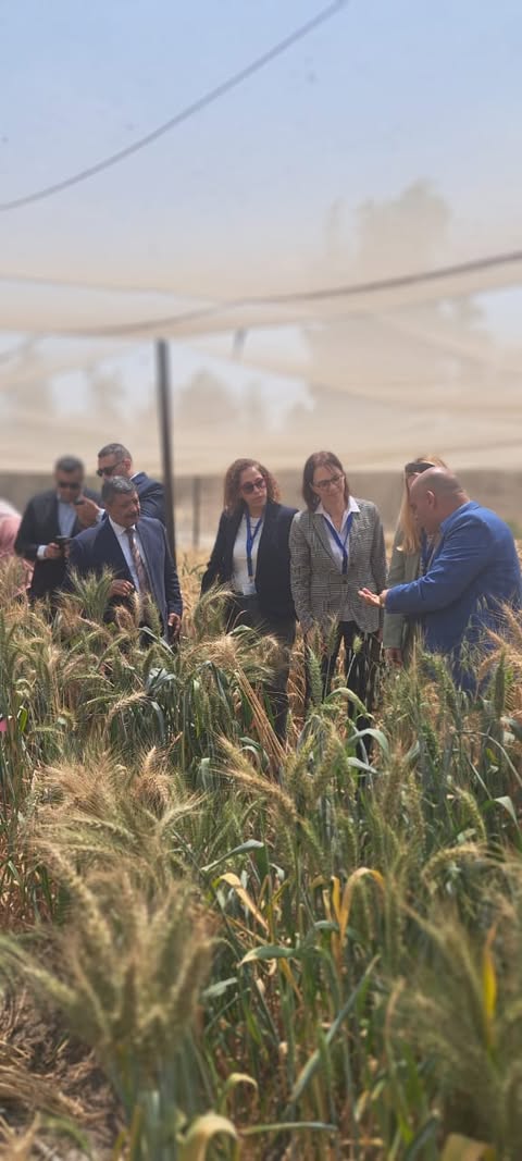 هيئة الطاقة الذرية تستقبل وفدًا ألمانيًا رفيع المستوى لتعزيز التعاون العلمي المشترك