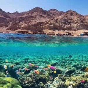 سيناء أرض الفيروز.. أيقونة السياحة المصرية بين التاريخ والطبيعة