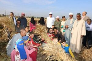 تجهيز 42 موقعًا لاستقبال القمح بسعة 465 ألف طن استعدادًا لموسم 2026