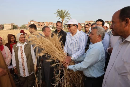 محافظ المنيا يشارك فى حصاد القمح