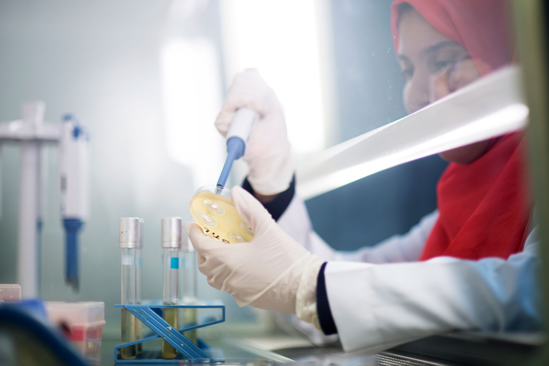 الزراعة: رفع القدرة الاستيعابية لـ’المركزي لمتبقيات المبيدات’ إلى 400 ألف عينة سنويًا