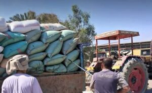 توريد 7191 طن قمح حتى الآن وتيسيرات شاملة لدعم المزارعين بأسيوط