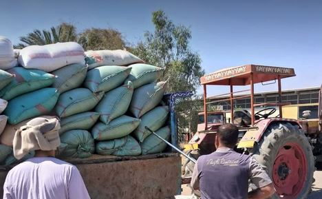 توريد 7191 طن قمح حتى الآن وتيسيرات شاملة لدعم المزارعين بأسيوط