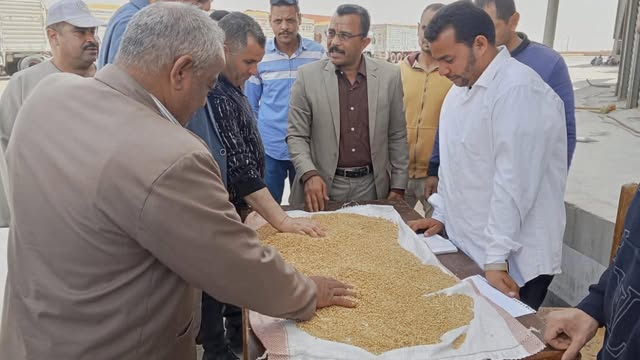 محافظ المنيا: توريد أكثر من 80 ألف طن قمح منذ انطلاق موسم 2026