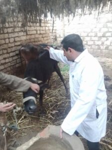 قافلة طبية مجانية بمركز ملوي ضمن مبادرة «حياة كريمة»