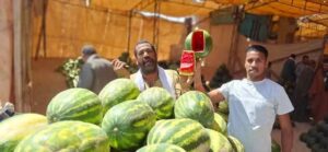 البطيخ “الفاكهة ذات الرداء الأخضر”  تكسوا شوادر أسيوط