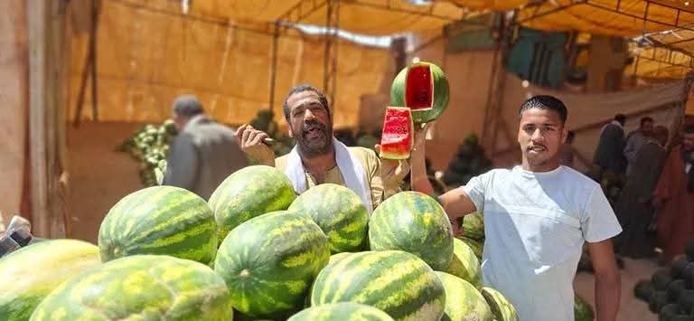 البطيخ “الفاكهة ذات الرداء الأخضر”  تكسوا شوادر أسيوط