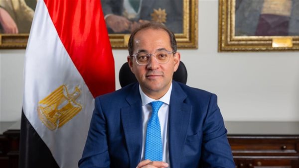 وزير المالية: نتطلع إلى دور أكبر لصندوق النقد الدولي في دعم الدول الأفريقية