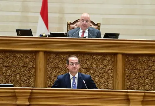 وزير المالية أمام مجلس النواب: الموازنة الجديدة تستهدف 4 تريليونات جنيه إيرادات