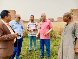 استمرار أعمال توريد القمح للصوامع والشون بإجمالي 1109 طن حتى الآن بأسيوط