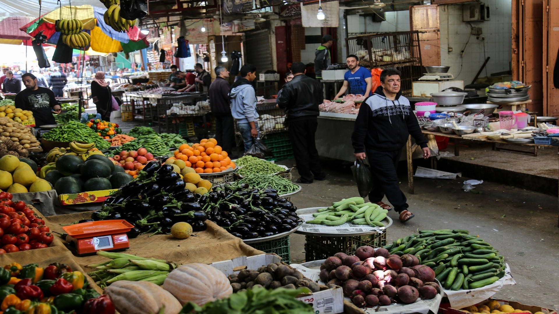 استقرار أسعار الخضروات والفاكهة في مصر اليوم السبت