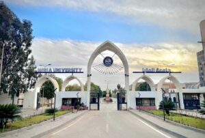 رئيس جامعة المنيا يعلن الخطة الشاملة لمواجهة ظاهرة الغش لضمان نزاهة العملية التعليمية