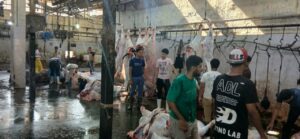 محافظ الجيزة: ذبح 4300 أضحية بالمجازر الحكومية في العيد