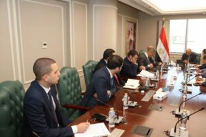 وزير الكهرباء يبحث مع “إنكوم” آليات توفير الطاقة الكهربائية اللازمة لإقامة مشروع مركز عالمى للبيانات