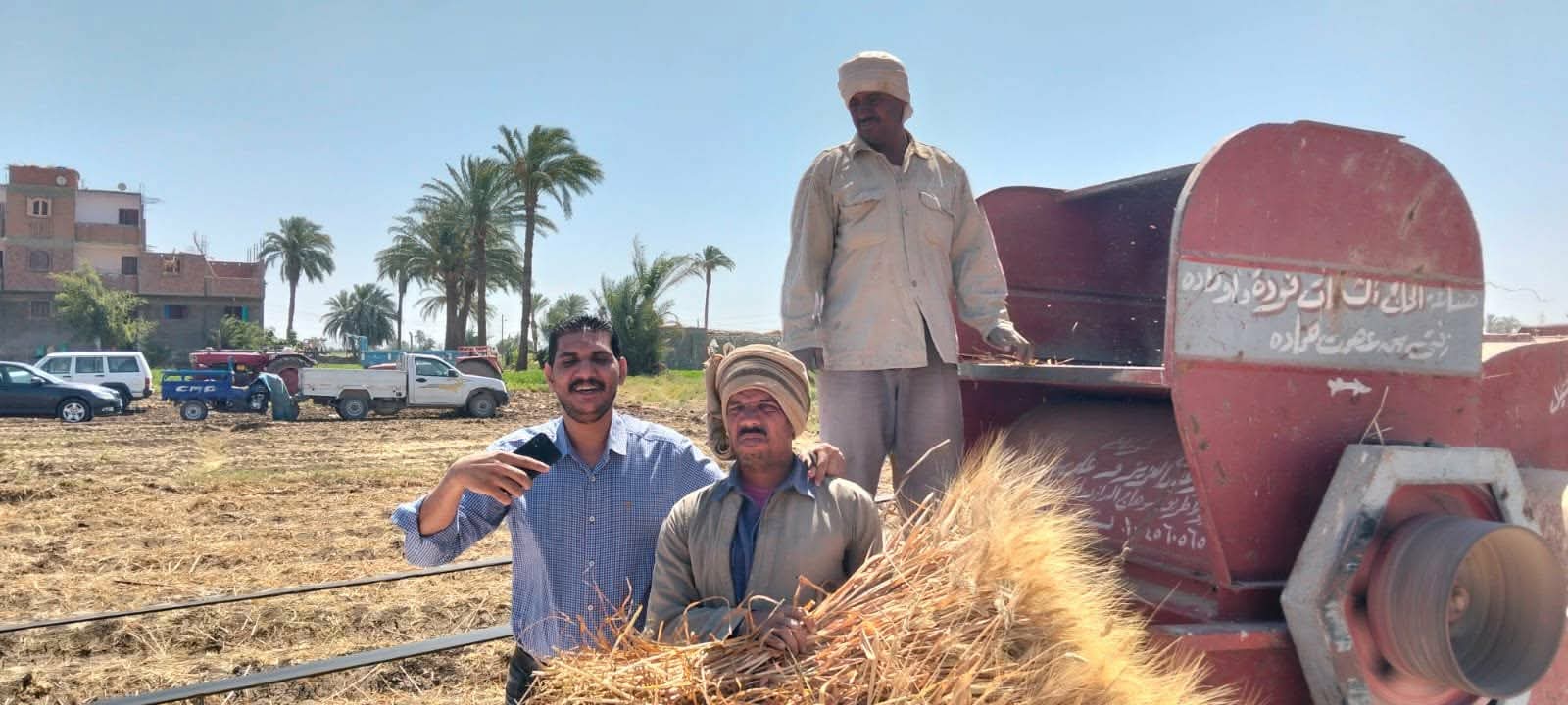 زيادة 10% فى حصاد القمح .. محصول «الذهب الأصفر» يلمع فوق أراضى أسيوط