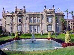 جامعة عين شمس تطلق مبادرة لتوفير اللحوم البلدية بأسعار مدعومة لمنتسبيها