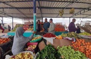 ارتفاع أسعار الخضروات والفاكهة بالأسواق