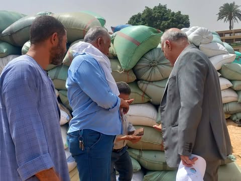 أسيوط تورد 191 ألفًا و459 طن قمح محلي منذ بدء الموسم والانتهاء من حصاد كامل