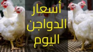 تراجع أسعار الدواجن والبيض واللحوم اليوم بالأسواق