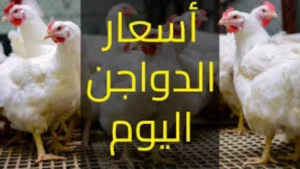 تراجع أسعار الدواجن والبيض واللحوم اليوم بالأسواق