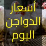 تراجع أسعار الدواجن والبيض واللحوم اليوم بالأسواق