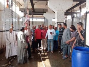 استعدادًا لعيد الأضحى.. محافظ المنيا يعلن جاهزية 38 مجزرًا مجانيًا