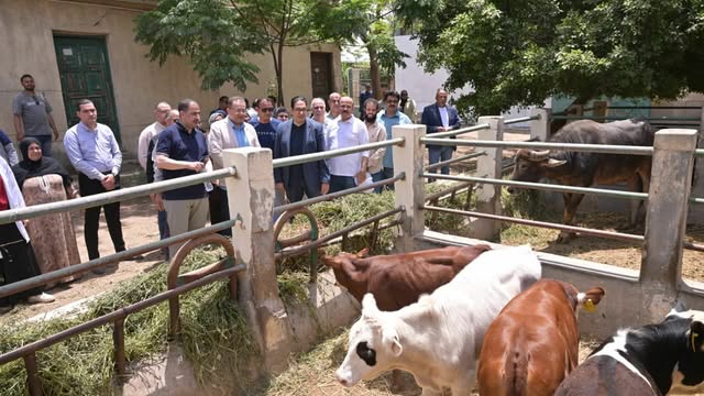 رئيس جامعة القاهرة يوجه بتطوير محطة البحوث الزراعية وربطها بسوق العمل