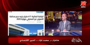 تحذيرات من “العدوى المالية”.. خبير اقتصادي يوضح مخاطر توسع الإقراض الاستهلاكي في مصر