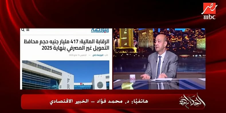 تحذيرات من “العدوى المالية”.. خبير اقتصادي يوضح مخاطر توسع الإقراض الاستهلاكي في مصر