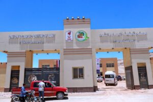 محافظ سوهاج يوجه بـ”ثورة نظافة” في الكوثر