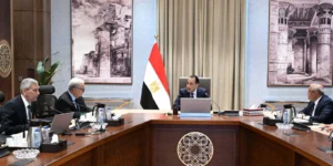 مدبولي يبحث خطة تطوير أداء الشركة القابضة للأدوية